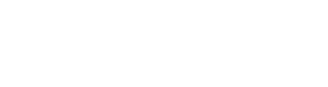 Strider Technologies