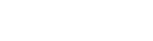 Boston Meridian Partners